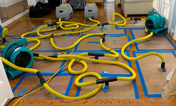 Professional Crawl Space Water Removal technician working in Doylestown, OH